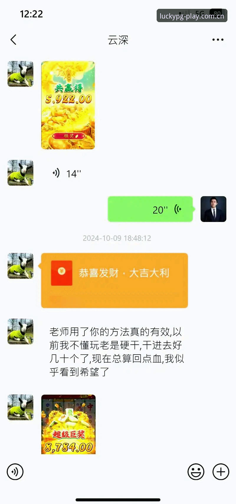 2026PG电子平台全面解析：从版本下载到实用攻略的深度分析